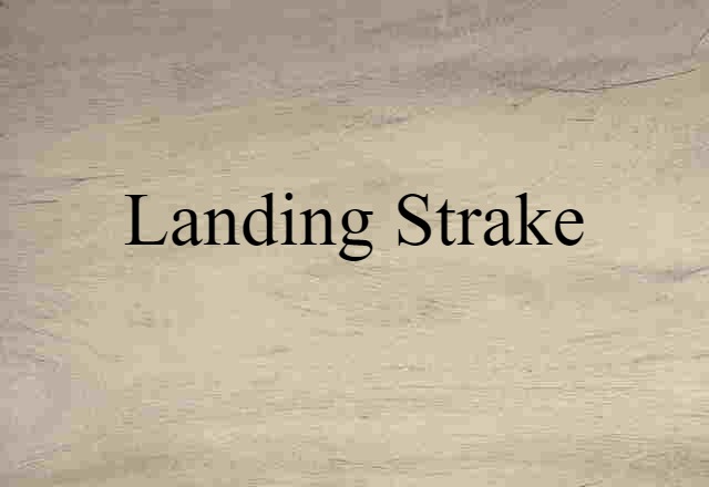 landing strake