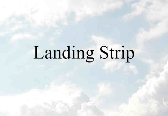 Landing Strip (noun) Definition, Meaning & Examples