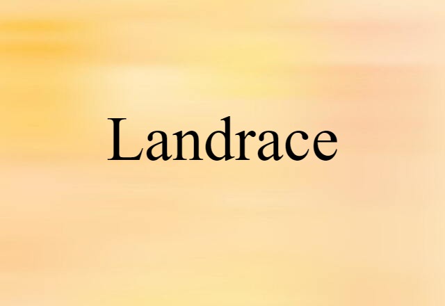 landrace