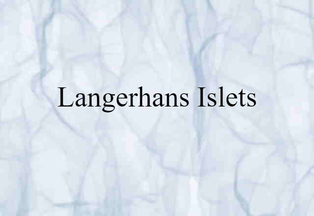 Langerhans Islets (noun) Definition, Meaning & Examples