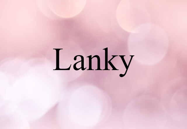 Lanky (noun) Definition, Meaning & Examples