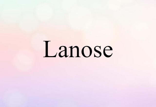 Lanose (noun) Definition, Meaning & Examples