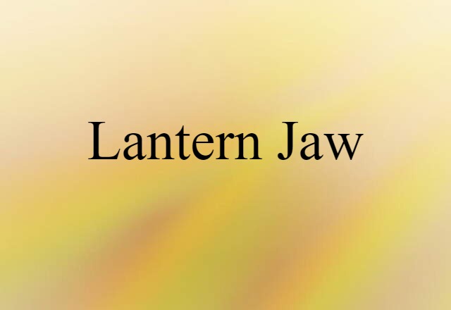 Lantern Jaw (noun) Definition, Meaning & Examples