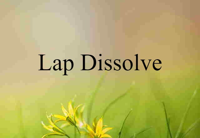 Lap Dissolve (noun) Definition, Meaning & Examples