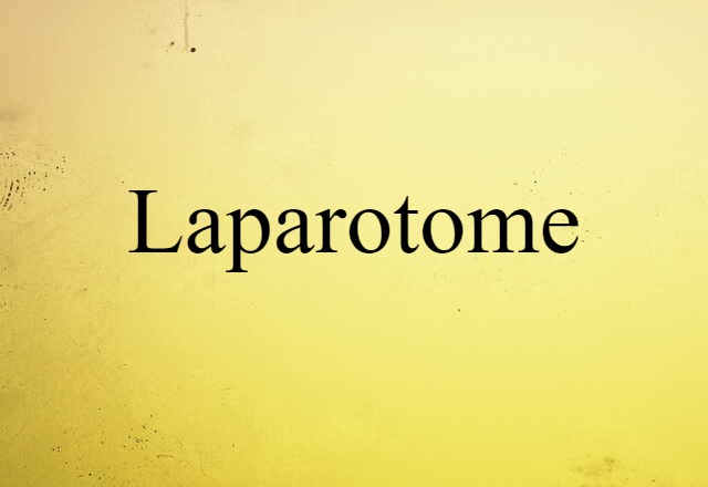 Laparotome (noun) Definition, Meaning & Examples