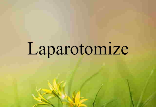 Laparotomize (noun) Definition, Meaning & Examples