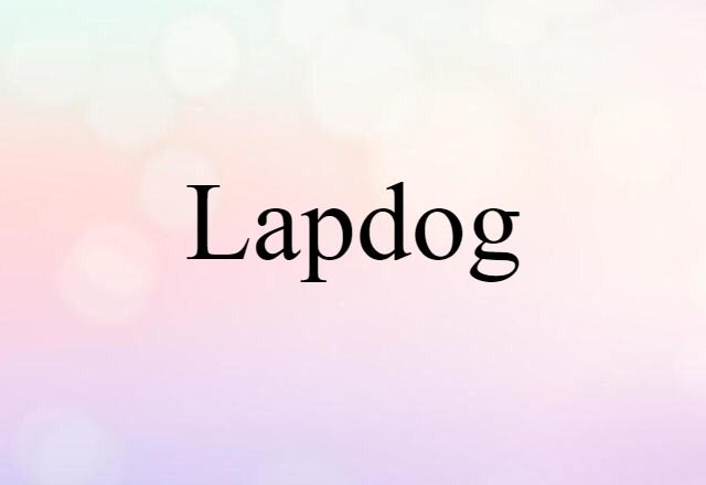 Lapdog (noun) Definition, Meaning & Examples