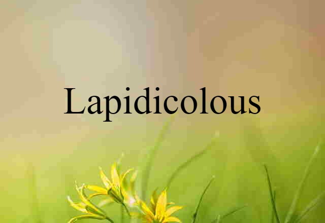 lapidicolous