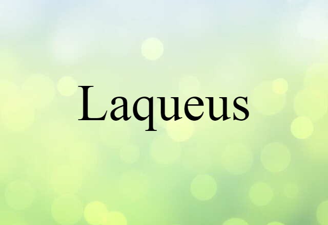 laqueus