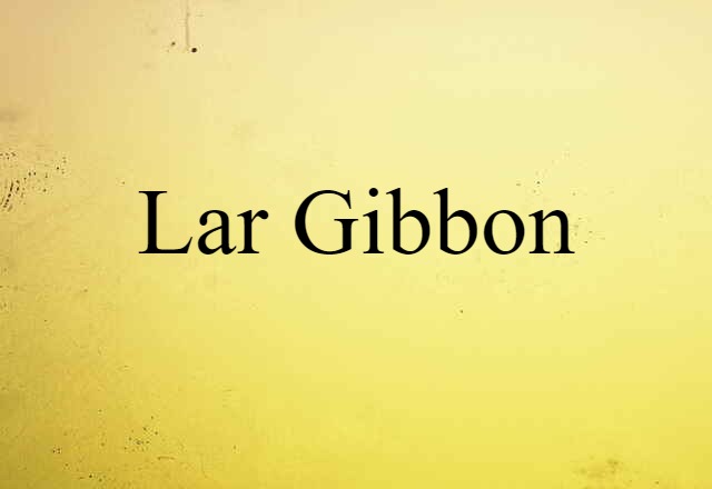 Lar Gibbon (noun) Definition, Meaning & Examples