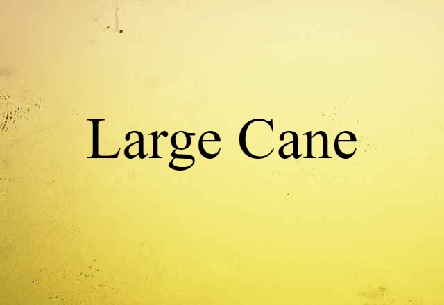 Large Cane (noun) Definition, Meaning & Examples