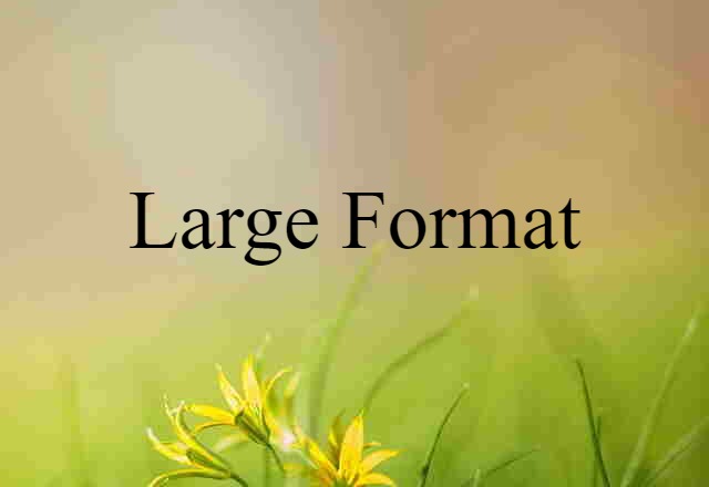 large format