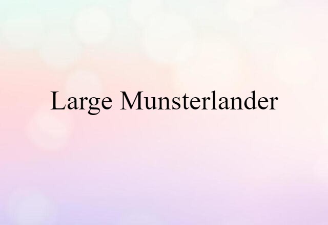 Large Munsterlander (noun) Definition, Meaning & Examples