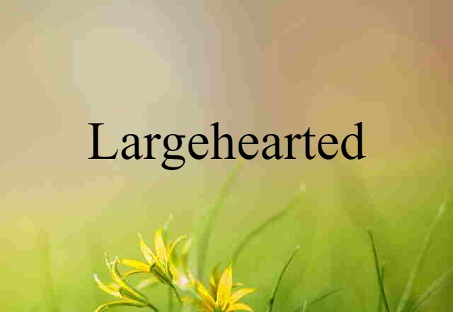 Largehearted (noun) Definition, Meaning & Examples