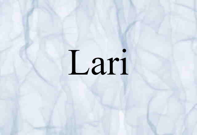 Lari (noun) Definition, Meaning & Examples