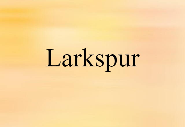 larkspur