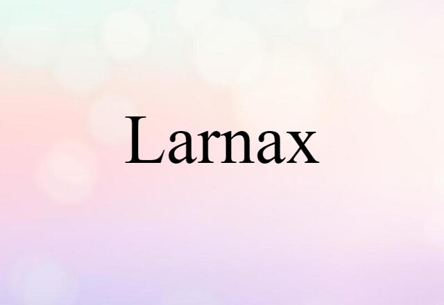 Larnax (noun) Definition, Meaning & Examples