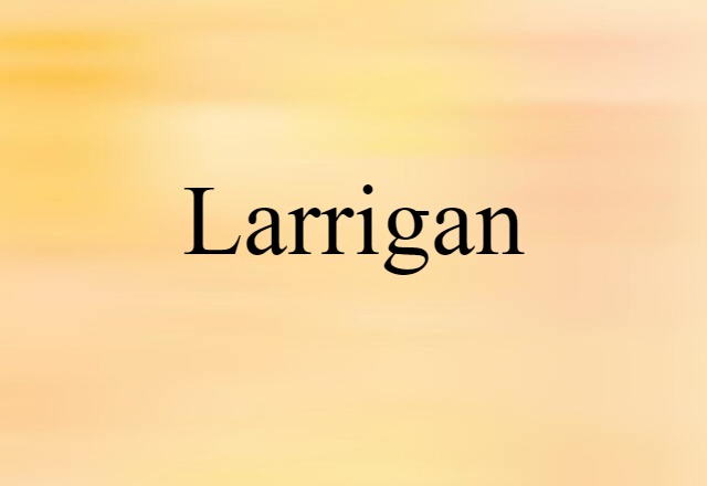 Larrigan (noun) Definition, Meaning & Examples