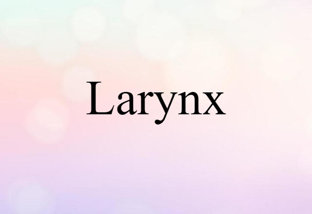 larynx