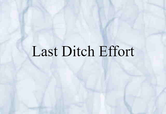 Last Ditch Effort (noun) Definition, Meaning & Examples