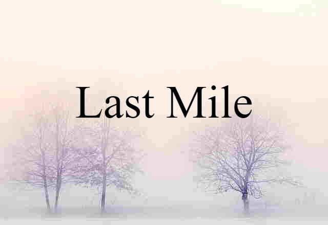 Last Mile (noun) Definition, Meaning & Examples