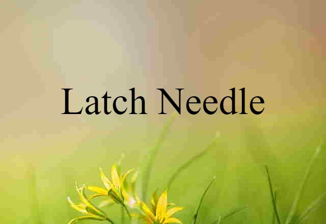 latch needle