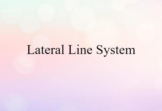 Lateral Line System (noun) Definition, Meaning & Examples