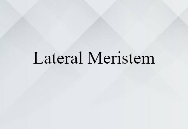 lateral meristem