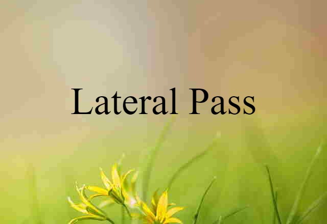 Lateral Pass (noun) Definition, Meaning & Examples