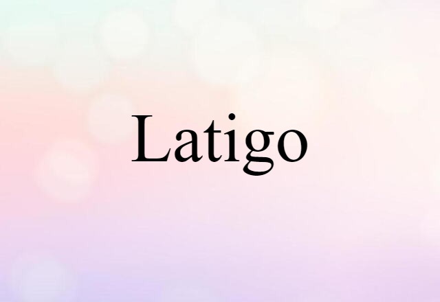 Latigo (noun) Definition, Meaning & Examples