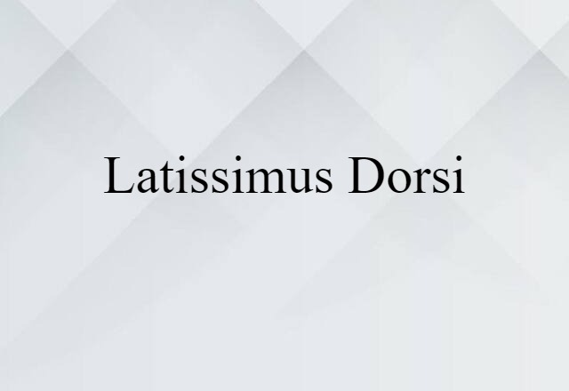 Latissimus Dorsi (noun) Definition, Meaning & Examples