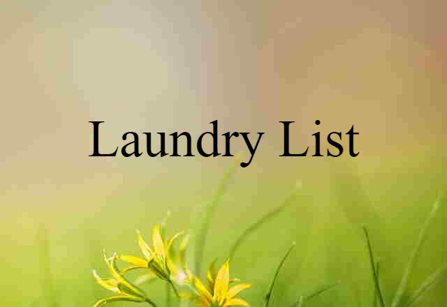 Laundry List (noun) Definition, Meaning & Examples