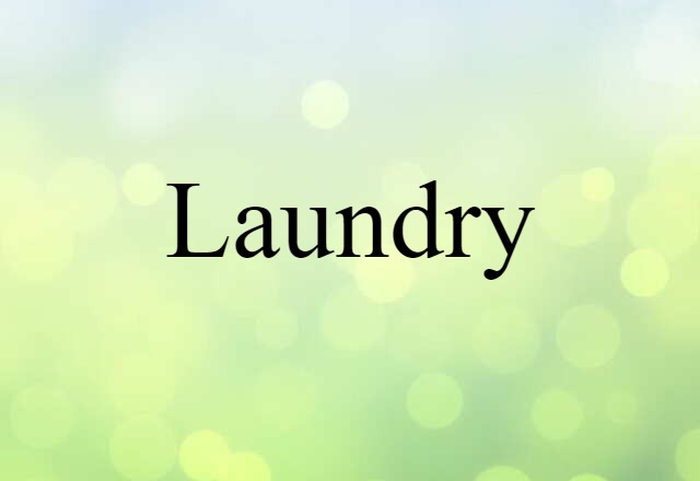 Laundry (noun) Definition, Meaning & Examples