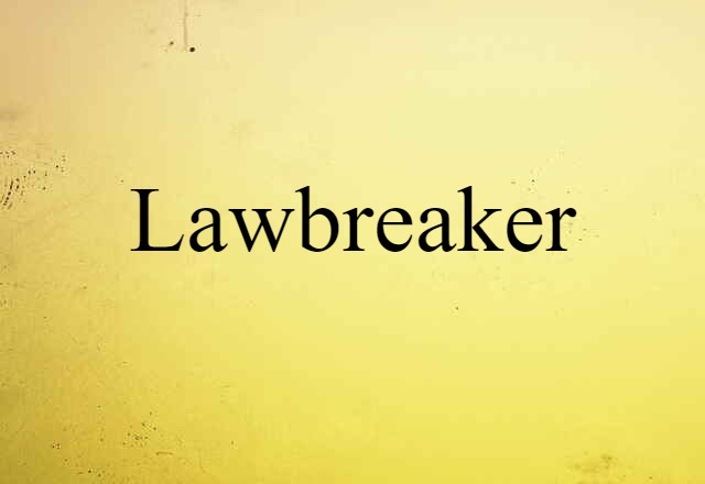 Lawbreaker (noun) Definition, Meaning & Examples