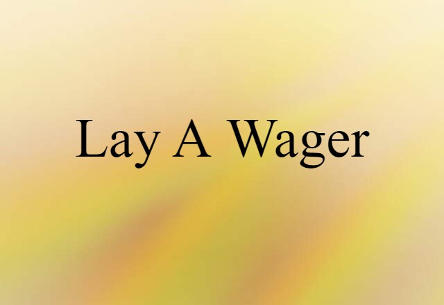 lay a wager