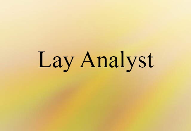 Lay Analyst (noun) Definition, Meaning & Examples