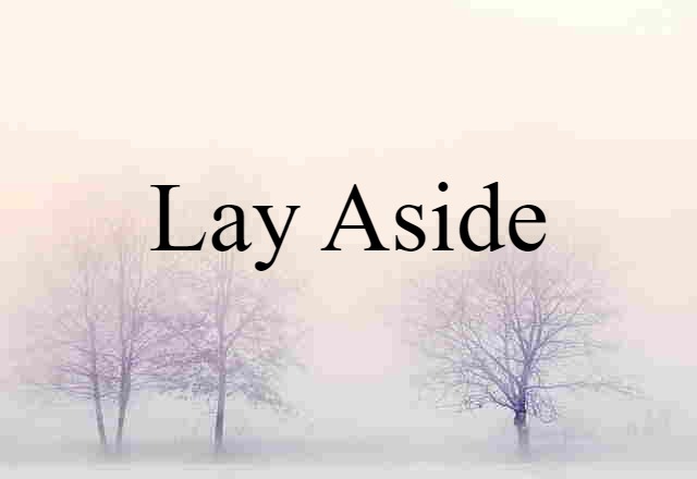 Lay Aside (noun) Definition, Meaning & Examples