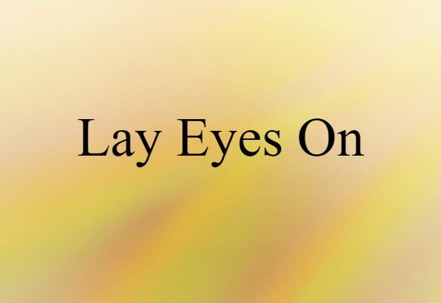 Lay Eyes On (noun) Definition, Meaning & Examples