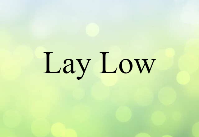 Lay Low (noun) Definition, Meaning & Examples