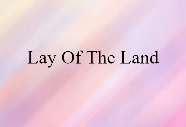 Lay Of The Land (noun) Definition, Meaning & Examples