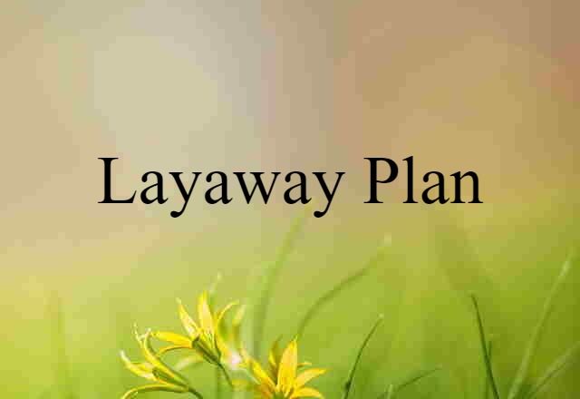 Layaway Plan (noun) Definition, Meaning & Examples