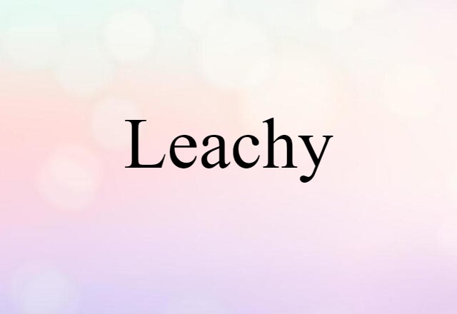 Leachy (noun) Definition, Meaning & Examples