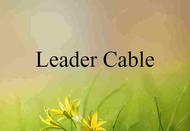 leader cable