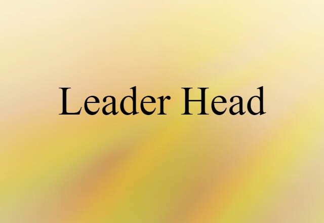 Leader Head (noun) Definition, Meaning & Examples