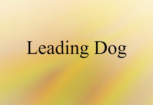 leading dog