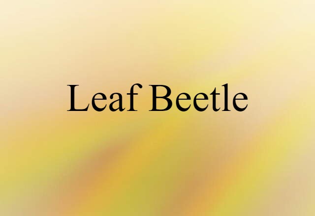 leaf beetle