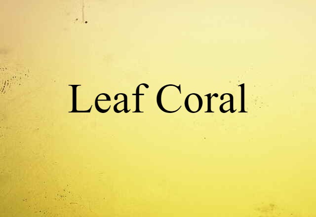 leaf coral