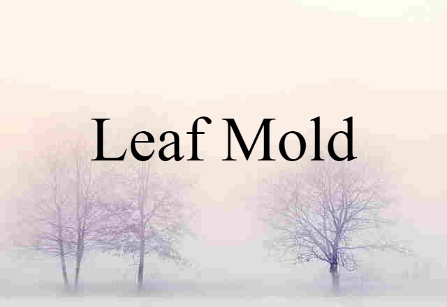 Leaf Mold (noun) Definition, Meaning & Examples