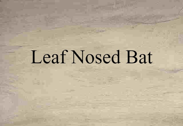 leaf nosed bat