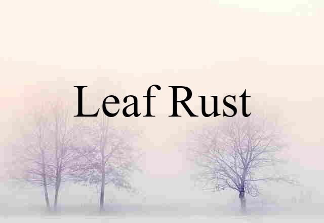 leaf rust